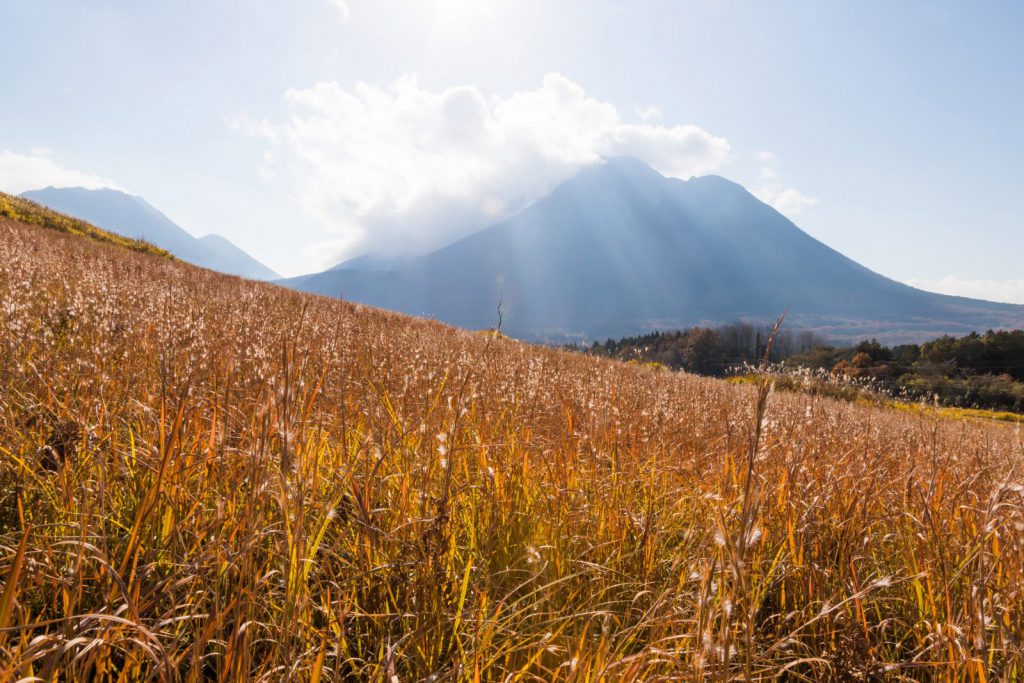 Tsukahara Highland