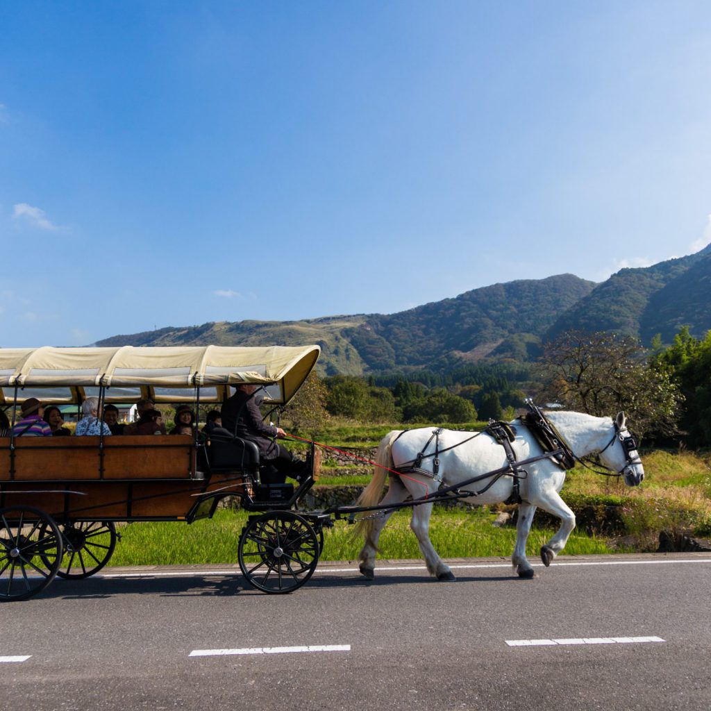 Tourist horse-drawn carriage